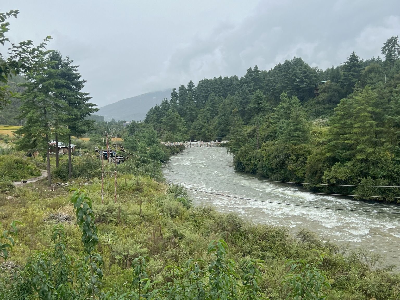 Bhutan - Image 8