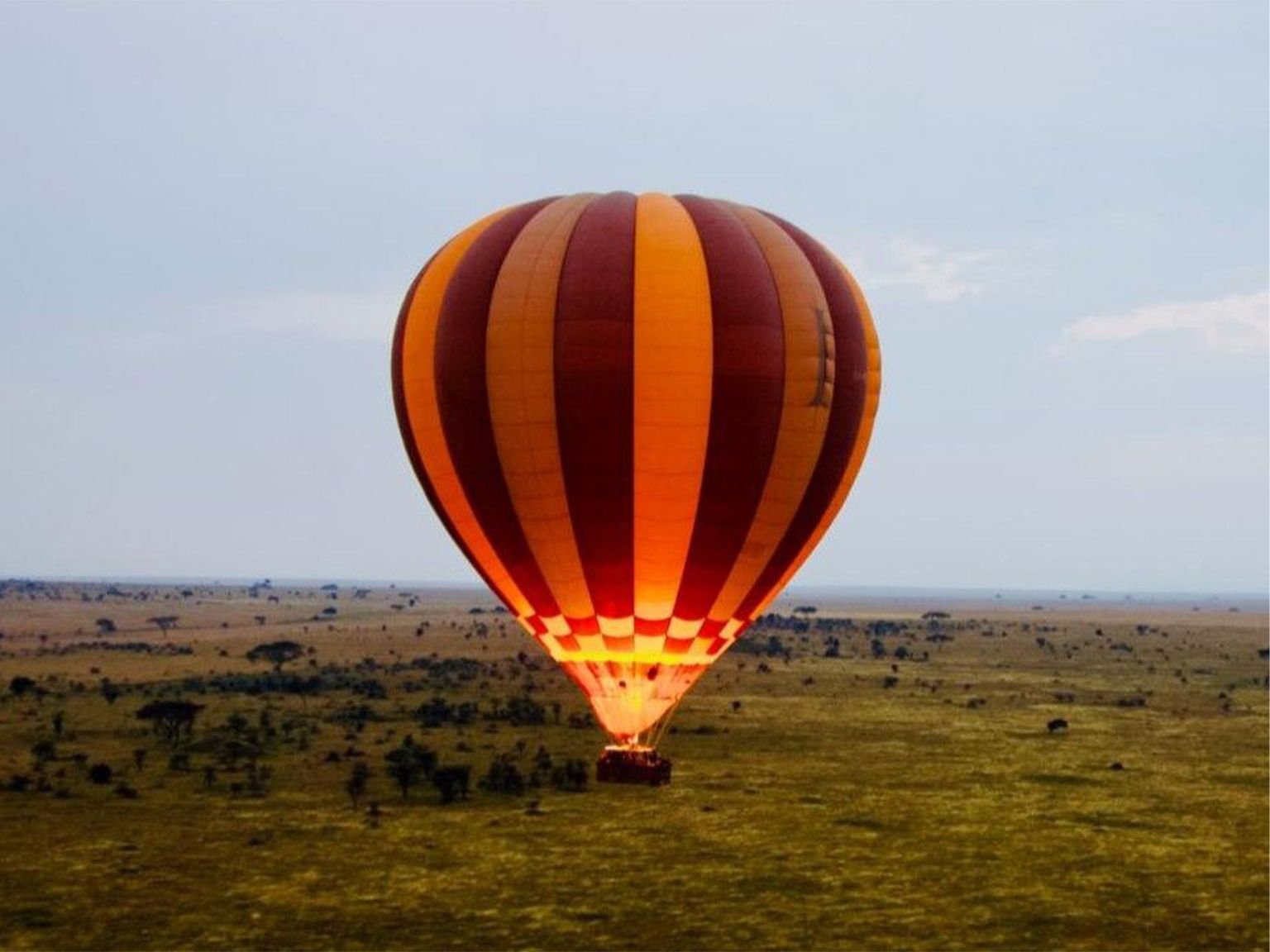 Serengeti - Image 2