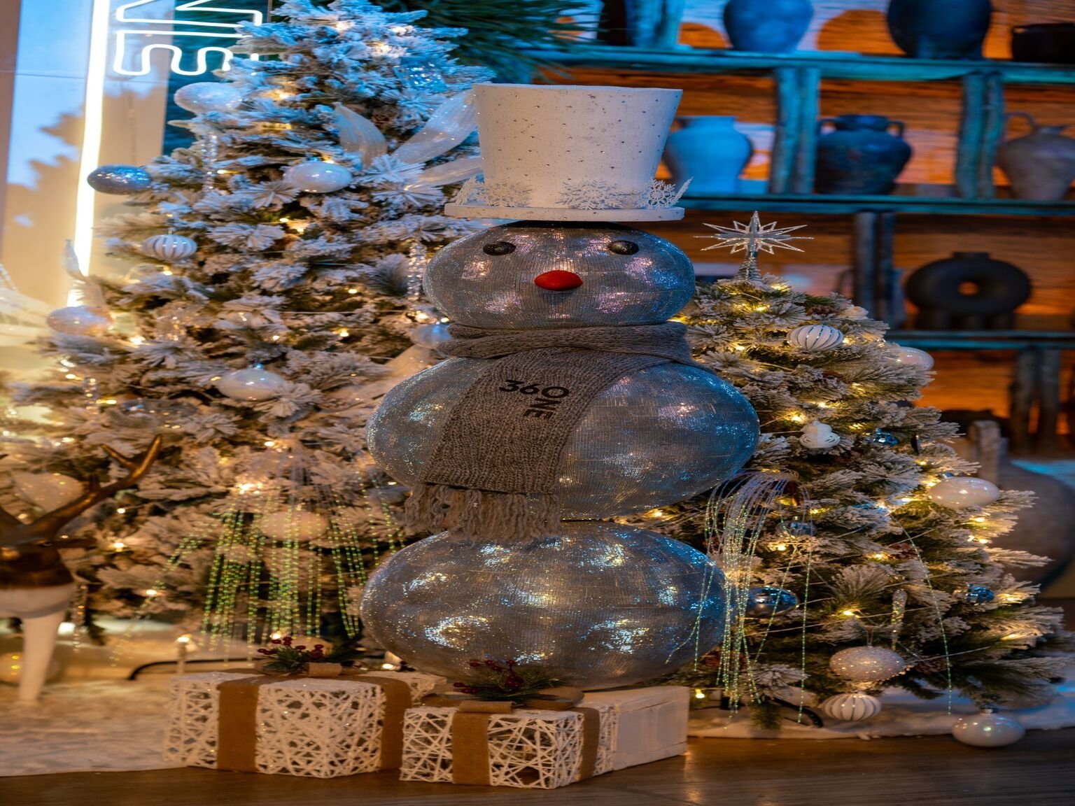 Winter Wonderland - Image 6