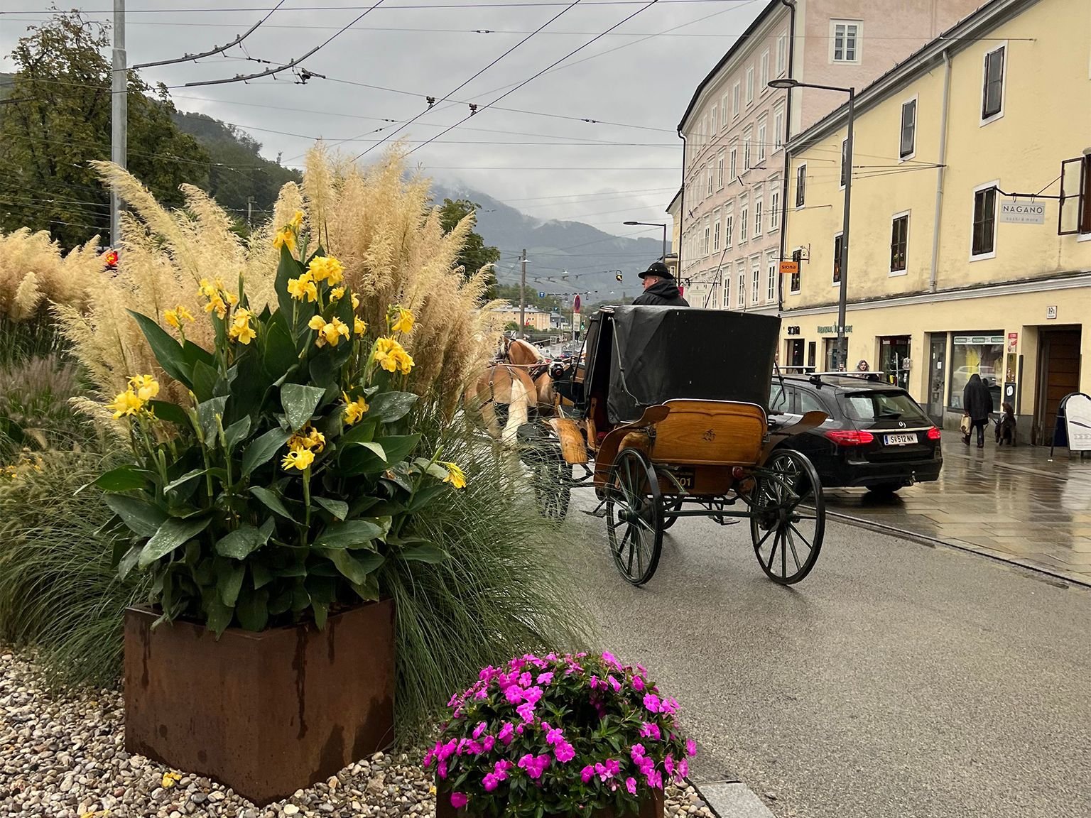 Anniversary in Salzburg - Image 8